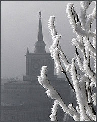 photo "***"