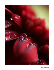 photo "Time is water"