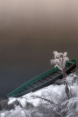 photo "the boat"