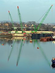 photo "Crane reflections"