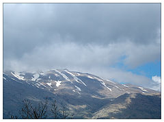 photo "The last snow"
