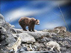 photo "The Encounter"