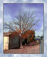 photo "***"