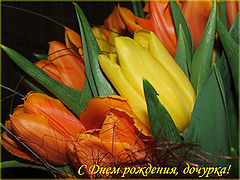 photo "***"