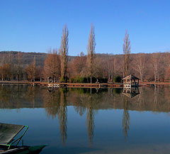 фото "skinny-dipping"