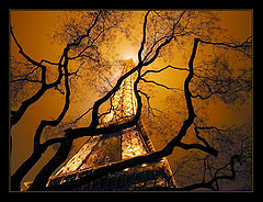 photo "***"