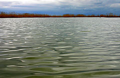 photo "layer"