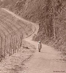 фото "Long way..."
