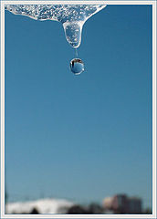 photo "Drop"
