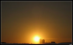 фото "in to the sun"