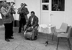 фото "Song"