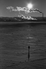 photo "Loneliness"