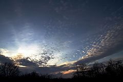 photo "Sunset"