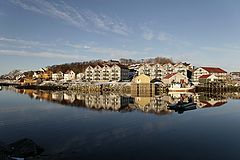 photo "Reflections"