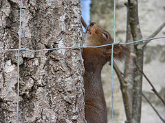 photo "outside jail"