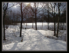 photo "way out"