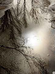photo "***"