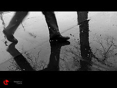 фото "rain in vienna"
