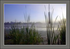 photo "***"