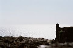 photo "***"