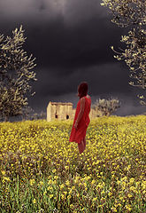 photo "color"