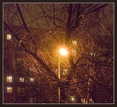 фото "Нужно посмотреть, чтобы увидеть"