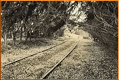 photo "Deserted Rail for HARTWELL RAILROAD since 1987"