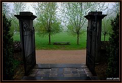 фото "open door for spring"