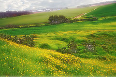 фото "Colours of Spring"