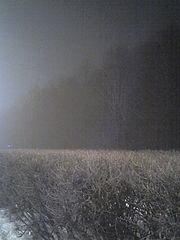 фото "туман, я его чувствую"
