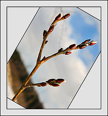 фото "Весна! :-)"
