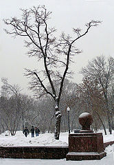 photo "Walks on winter capital."