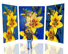 фото "April Fool's Day"