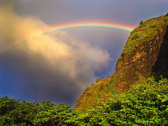 фото "Hawaiian Rainbow"