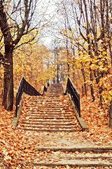 photo "The invitation at autumn"
