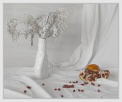 photo "White And Red"