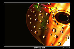 photo "BONUS SD"