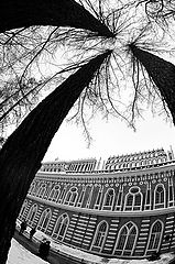 photo "tsaritsino moscow"
