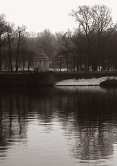 photo "spring breath 1"