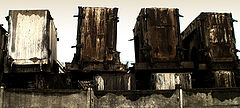photo "one less elefat ..."