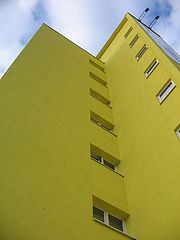 фото "Yellow."