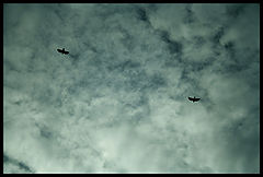 photo "***"
