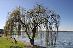 photo "Relax"