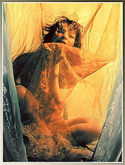 фото "organza"