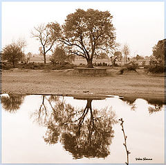 фото "Another View"