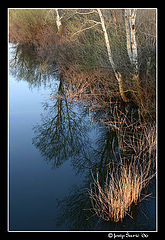photo "Begej River"