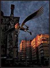 photo "***"