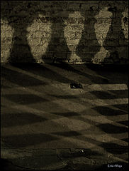 photo "***"