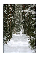 photo "Province sketches - winter byroad"