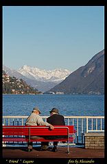 photo "friends"